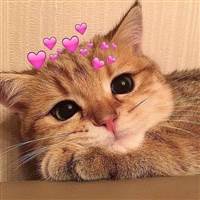 Tô Ngọc Vương