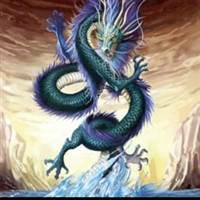 Cổ Đông Nhỏ Lẻ 
