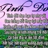 Cỏ Dại