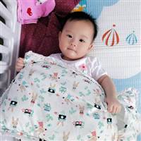 Quyên Lục