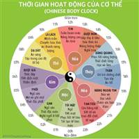 Theo Lái Chèo Chống