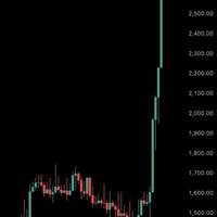 Chó già phố celano