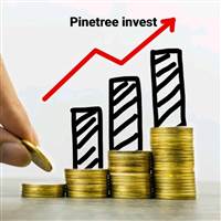 PINETREE INVEST