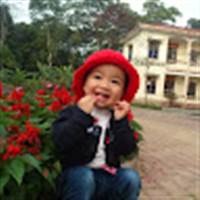 Hai Chau Do
