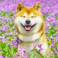 Nguyễn Quốc Khánh