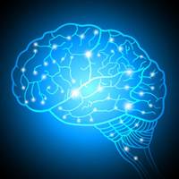 Cổ đông chiến lược ViC