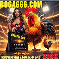 boga666.com
