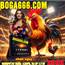 boga666.com