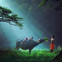 Ắp Cheng