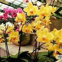 Đổi Đời Từ Chứng