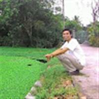 Viet Pham