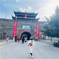 Nguyễn Thị Thuý Ngân