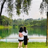Hoa Đang huu