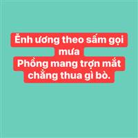 Nước  Mẽo Tấu Hề Trở  Lại !