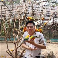 Manh Vu