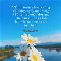 CHỨNG SĨ 