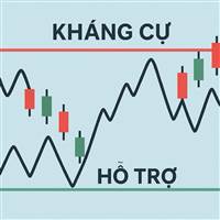 Chứng Khoán Vịt