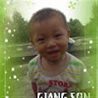 Ha Tran