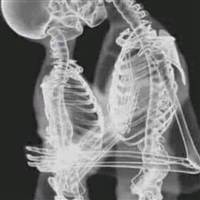 Về Bờ Bỏ Chứng !