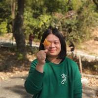 Trinh Hong Linh