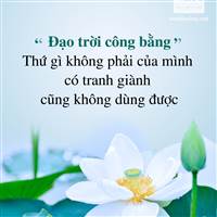 Trung Lucky