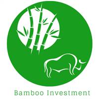 Bamboo investment