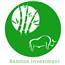 Bamboo investment