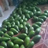 Nghia