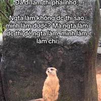 nhimxu