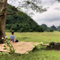NguyenBao