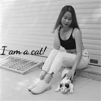 Thuy Dinh