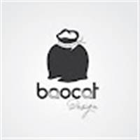 Baocat Channel