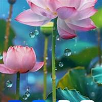 Ngô Hữu Lộc