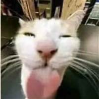 mrtony2703