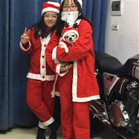 nvananh79