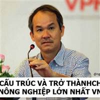 HSG Vĩnh cửu