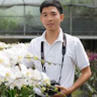 Nam Nguyễn