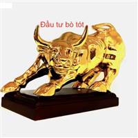 Đầu tư Bò Tót 