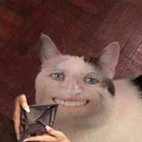 Chứng khoán là những cú lừa