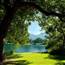 Stillness