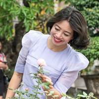 Hồng Vũ