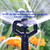 Hoa kiểng Long mỹ