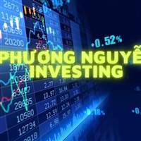 NGỌC PHƯƠNG NGUYỄN