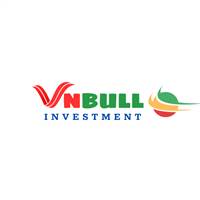 VNBull Investment