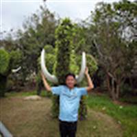 Nhan Nguyen Tuan
