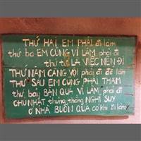 Giải Rượu Bia Từ Lá cà gai Leo -   Chống Say Nguội