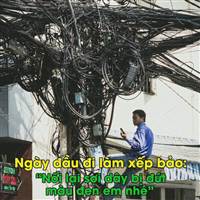 F0 Chân Chính