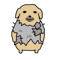 Sinh viên năm nhất SGU