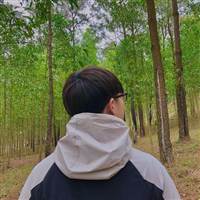 Hoang Tran