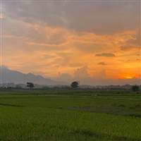 Dũng Đỗ Anh